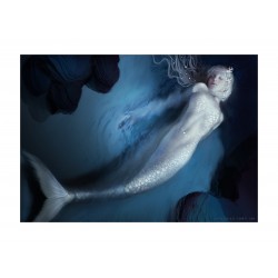 Toraji - Mermaid_di_nude