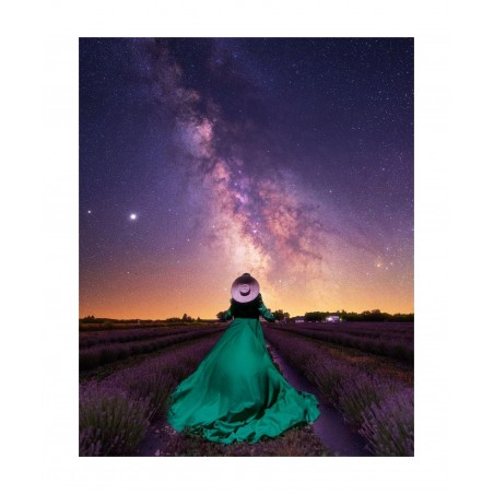 Gary Cummins - My queen in her lavender dream_ph_land