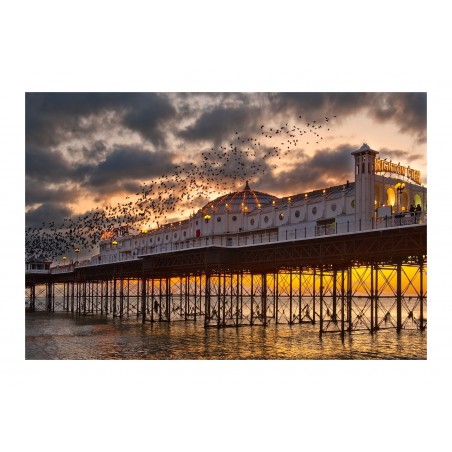 Charles Hobley - Brighton Pier - England_ph_land_flickr.com+people+151904655@N04