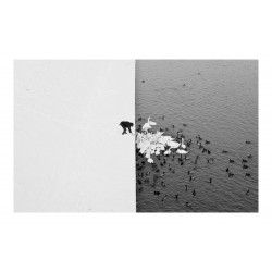 Marcin Ryczek - A man feeding swans in the snow_ph_bw_land_marcinryczek.com