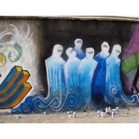 Shamsia Hassani - street art - Kabul_pa
