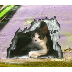 Billboards Hacker  - street cat art - Mont Vernon - New York