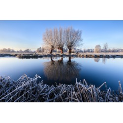 Justin Minns - A thick frost by the River Stour -Suffolk...