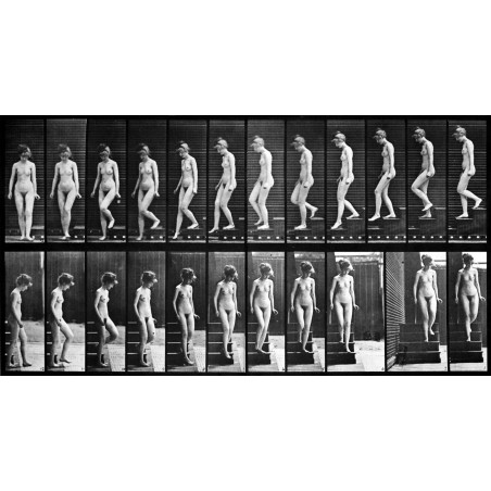 Eadweard Muybridge - Nude descending a staircase_ph_bw_vint_en.wikipedia.org+wiki+Eadweard_Muybridge