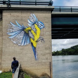 ARDIF - mural street art - Vernon France