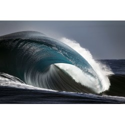 Surfer - big wave