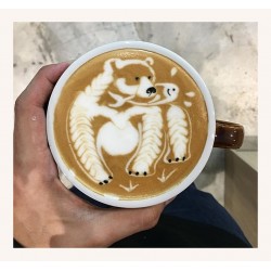 Irvine Quek - Latte Art World Champion 2018 - Barista