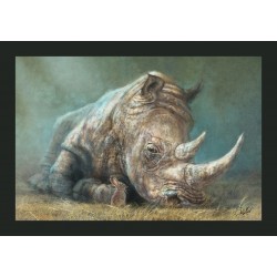 Steve De La Mare -The Rhino and the Rabbit_di
