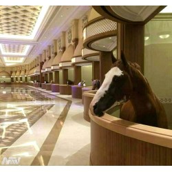 How to waste your money - Dubai marble horse stables_au_funn