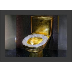 How to waste your money - gold and diamond-encrusted toilet