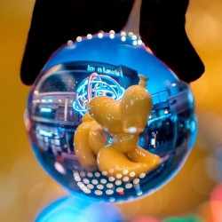 Anne Koerber - geant dog sculpture