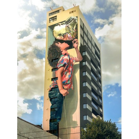 Martin Ron - mural street Art 3 - Buenos Aires Argentina_pa_stre