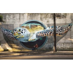 Martin Ron - mural street Art - Buenos Aires Argentina