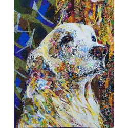 Danny Amazonas  - dog in mosaic quilt