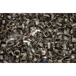 David Lachapelle - Icarus - 2012