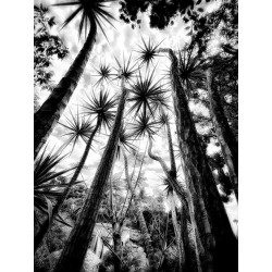 Laurie Freitag - In the Garden at Chislehurst_ph_bw_land_instagram.com+lauriefreitagphotography