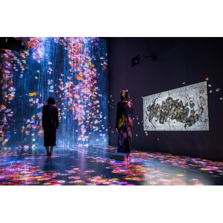 Teamlab - Universe of Water Particles 2