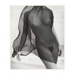 Herb Ritts - Female Torso with Veil - 1984
