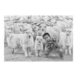 Hiu Wan Yeung - The little shepherd - EFIAP - Hong Kong_ph_repo
