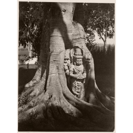 Isidore van Kinsbergen - Statue of deity with characteristics of Harihara - 1860-70_ph_bw_repo_vint