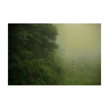 Erik Madigan Heck - The garden 1_ph_nude_green_dark