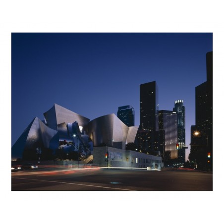 Richard Bryant - Walt Disney Concert Hall - Los Angele_ph_urba