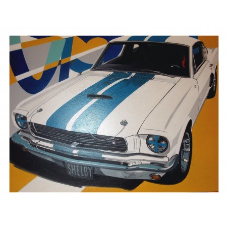 Laurence Delmotte Berreby - Ford Mustang Shelby GT500_pa