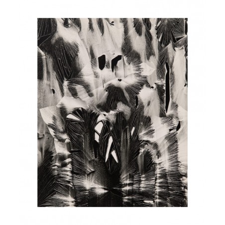 Brett Weston - Cracked Paint - Garrapata 1955_ph_bw_brettwestonarchive.com