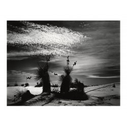 Brett Weston - White Sands 1945_ph_bw