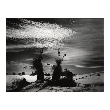 Brett Weston - White Sands 1945_ph_bw
