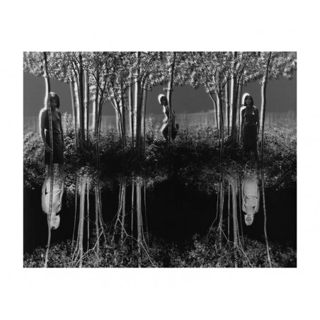 Jerry Uelsmann - Small woods where I met myself - 1967_ph_bw_vint