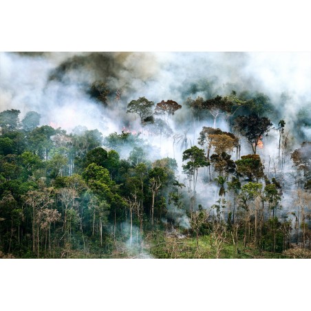 Daniel Beltra - Amazon rainforest burning - canopy east of Manaus Brazil 2013_ph_land_repo