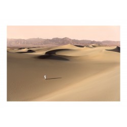 Julien Mauve  - Greetings From Mars