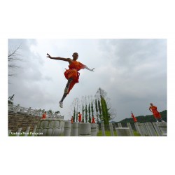 Wei Peiquan -  show Kungfu in Fujian China_ph_repo