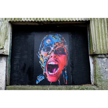 Sandra Chevrier - Mural street art with Martyn Reed_pa_stre